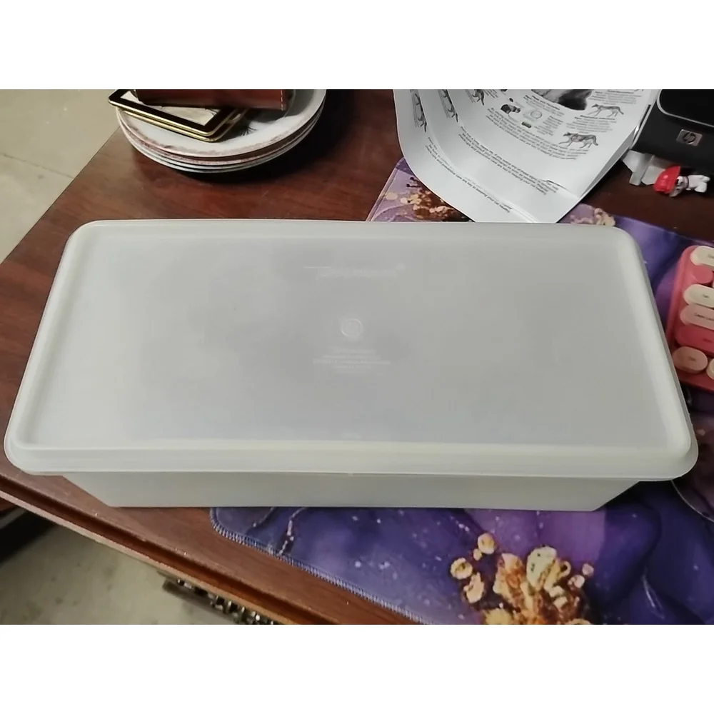 Vintage Tupperware Jumbo Bread Keeper Storage Box Container Sheer